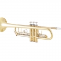 Bach BTR301 Trumpet