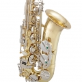 Selmer SAS201 Alto Saxophone