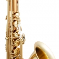 STS411C Alto Saxophone Copper Finish