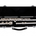 Selmer SFL301RI in Case