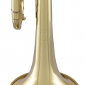 Bach LT18077 Trumpet