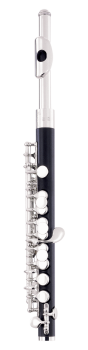 image of a 307 Student Piccolo